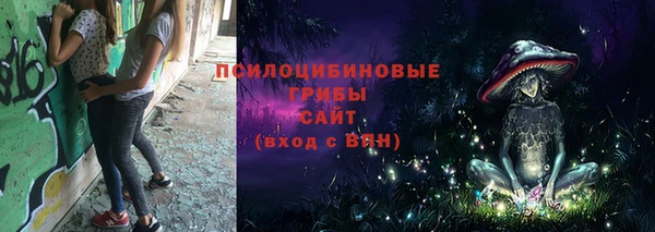 гашик Бугульма