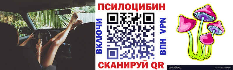 ОМГ ОМГ ТОР  наркотики  Монино  Галлюциногенные грибы Psilocybine cubensis 